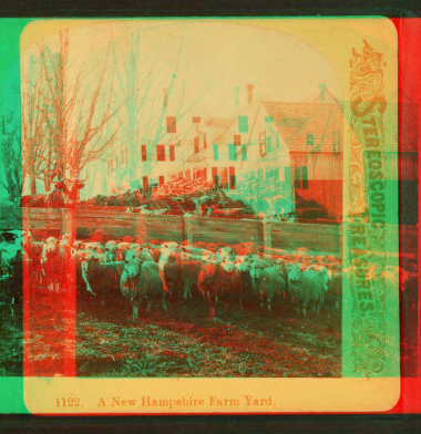 A New Hampshire farm yard. 1870?-1895?