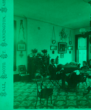 [Mr. & Mrs. Marcus H. Rogers in their parlor on the 2nd floor of the "Berkshire Courier" building, furniture, light fixtures, layout of rooms visible.] 1865?-1905?