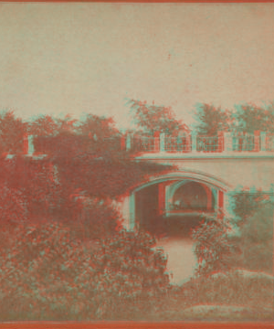 Bridge, Central Park. [1860?-1900?]