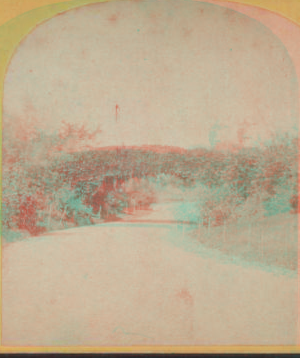 Arch over Bridle Road, south of playground, Central Park, N.Y. [1860?-1900?]