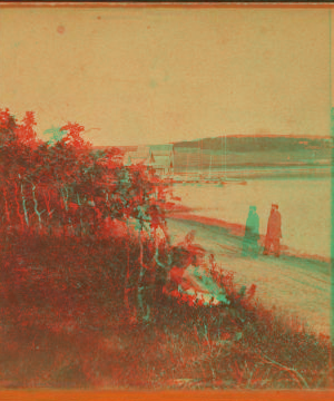 Martha's Vineyard. 1868?-1880?