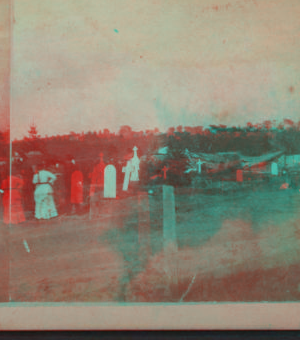 [View of a damaged cemetery.] 1878