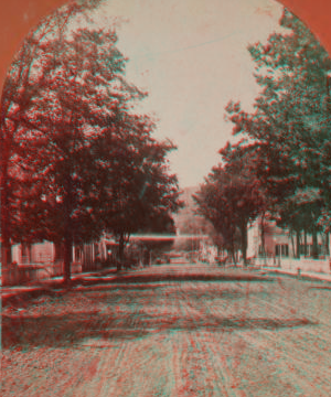 [View of a commercial street.] [1860?-1880?]