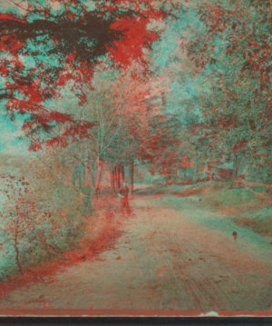 [View of a road.] [1870?-1891?]