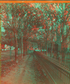 [Tree lined walkway along an iron fence, Girard, Pennsylvania.] 1870?-1880?