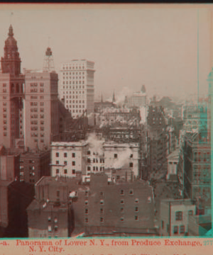 Panorama of Lower N.Y., from Produce Exchange, N.Y. City. 1898 1862?-1920?