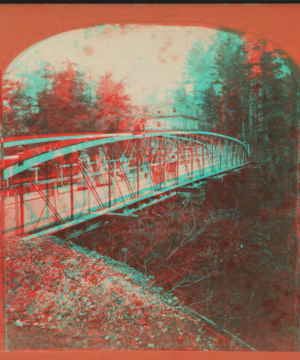 [Hanging bridge.] [1865?-1890?]