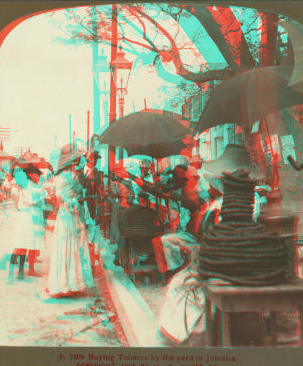 Buying Tobacco by the yard in Jamaica. 1904