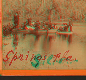 [Group of sightseers in Silver Springs, Fla.] [ca. 1875] 1875?-1890?