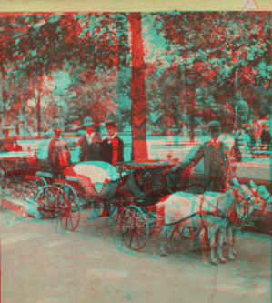 View in Central Park, New York. [1860?-1905?]