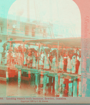 Loading vessels with bananas, Bowden, Jamaica. 1899