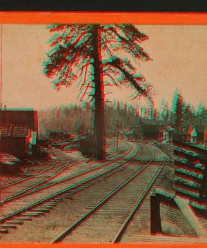 Truckee Station. ca. 1875 1863-1868