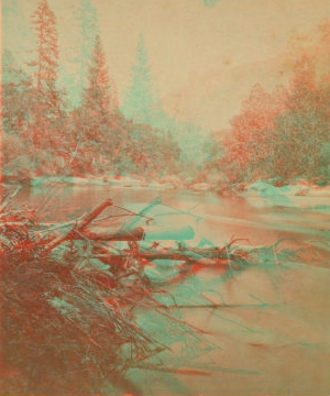 Yosemite Studies. 1868-1873