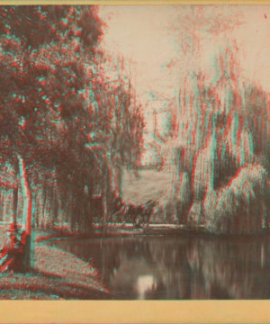 [Man resting under a tree near the lake, Greenwood Cemetery.] [1860?-1885?]