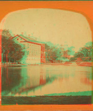 [Courthouse and frog pond showing fences lining pond.] 1868?-1885?
