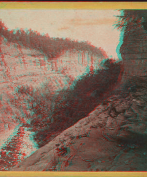 The Lower Taughannock Ravine, from the top of Main Fall. [1865?1880?]