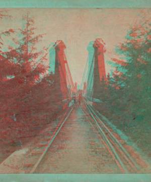 The Suspension Bridge, from the Canada side, Niagara. 1859-[1875?]