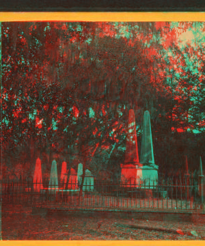 Stereoscopic views of cemeteries in Savannah, Georgia. 1866?-1905?