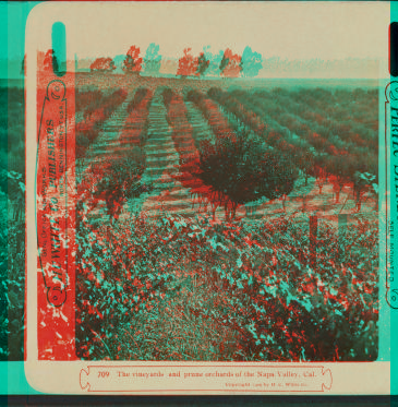 The vineyards and prune orchards of the Napa Valley, Cal. 1909 1868?-1909