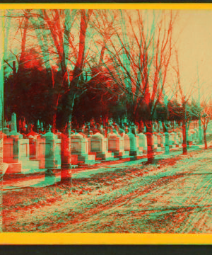 Congressional Cemetery. [186-] 1865?-1890?