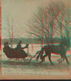 Sleighing, Central Park, N.Y. [1860?]-1896