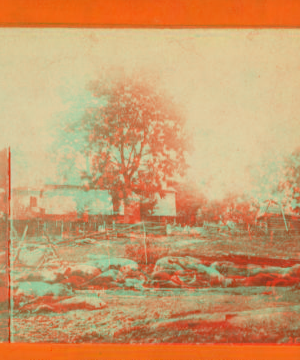 In Trossel's barnyard, Gettysburg [showing dead animals]. 1880?-1891? 1861-1865 one view copyright 1904