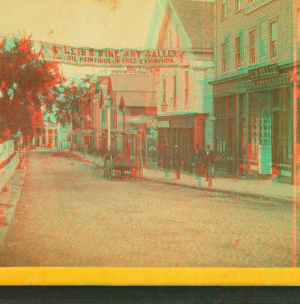 [Williams St. with a banner for an art gallery.] 1860?-1895?