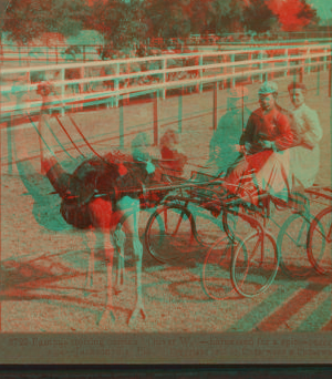 Famous trotting ostrich "Oliver, W." -- harnessed for a spin -- record of 2.02 -- Jacksonville, Fla. 1870?-1906? 1905