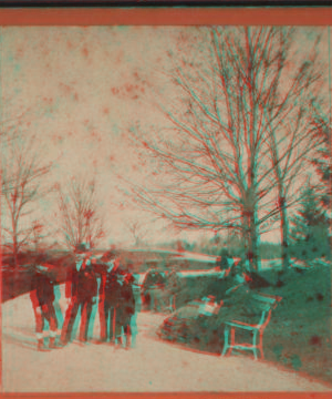 Group in Central Park. [1859?-1895?]