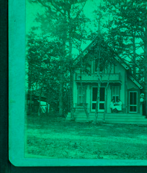 [View of a cottage, trees in front, people on porch.] 1865?-1885?