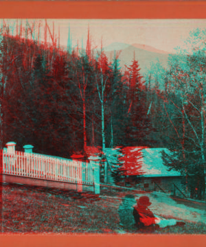 View from the Laurel House, Round Top in the distance. [1863?-1880?]