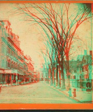 Hanover St., West from Chestnut. [ca. 1875] 1867?-1890?