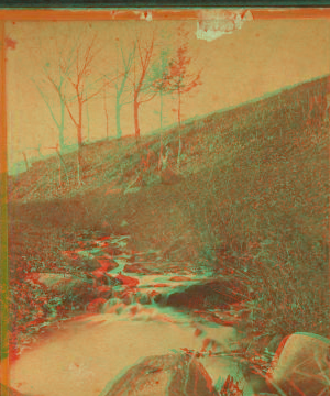 [Women standing on a hill side hear a brook.] 1865?-1880?