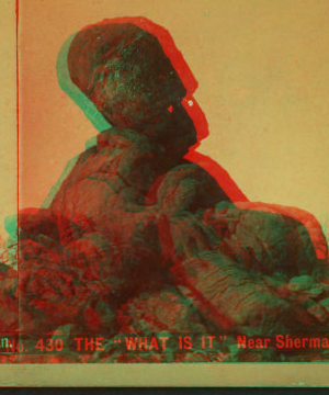 The "What is it" near Sherman. 1865?-1885?