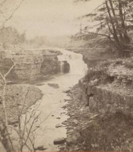 Genesee Lower Falls and Bed of River. [1879?-1890?]