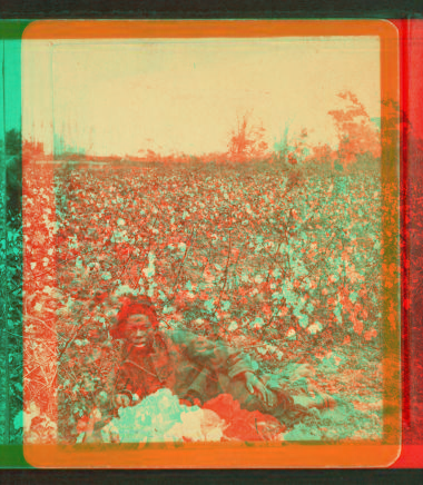 Picking cotton. [Woman resting in the field.] 1868?-1900?