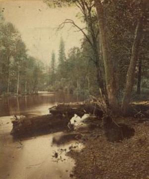 Looking up the Merced River, Yos. Val. Cal. 1873?-1880?