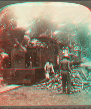 A railway train that crosses the equator, near Stanley Falls, Congo Free State. 