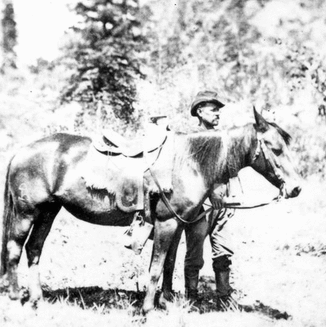 Views among the Rocky Mountains of Colorado. Camp scene. Charlie the cook and the bell mare. Photographic Division. Colorado. 1874.