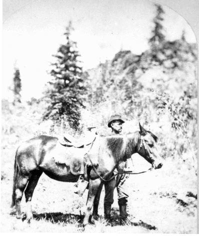 Views among the Rocky Mountains of Colorado. Camp scene. Charlie the cook and the bell mare. Photographic Division. Colorado. 1874.