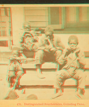 Distinguished southerners, grinding cane. [Children chewing sugar cane on the porch.] 1868?-1900?