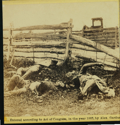 View on battle field.  Group of Louisiana regiment as they fell at the battle of Antietam.  The contest at this point had been very severe.