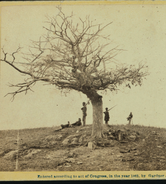 A lone grave on battle field of Antietam.