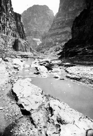 Kanab Canyon, near mouth. Cliffs in the distance right and left are on the other side of the Colorado River.