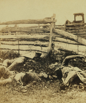 View on battle field.  Group of Louisiana regiment as they fell at the battle of Antietam.  The contest at this point had been very severe.