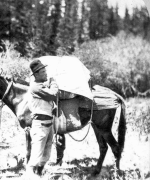 Views among the Rocky Mountains of Colorado. Camp scene. Packing - the near side - the last pull on therope. Colorado. 1874.