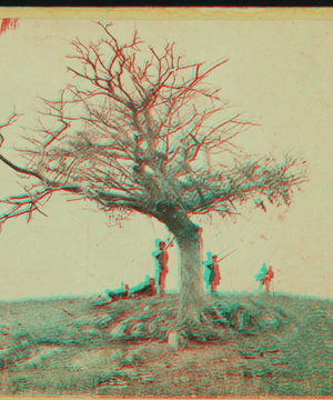 A lone grave on battle field of Antietam.