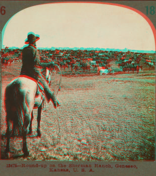 Round-up on the Sherman ranch, Geneseo, Kansas, U.S.A. 1868?-1906?