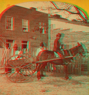 [View of a man in mule cart in front of a home.] 1867?-1895? 1875