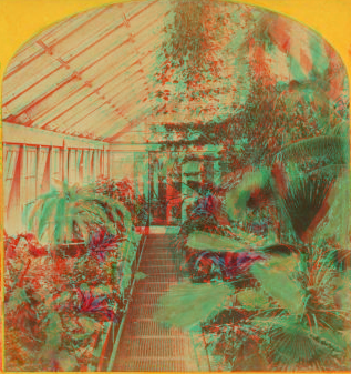 Conservatory, Botanical Gardens. 1865?-1910? [ca. 1875]